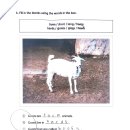 능률주니어랩니트영어학원 | [ 다사 죽곡 대실 영어 학원 ] 호치민에서 온 2학년 친구 독서 논술 수업 후기