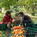 봉옥농장 이미지