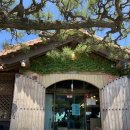 비원시골밥상 이미지