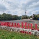 안덕소방서(안덕119센터) 2 이미지