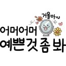 바르다김선생경주보문점