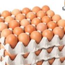 수의농장 이미지