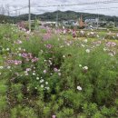 신풍면 행정복지센터 이미지