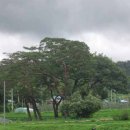 영주청구리입석 이미지