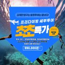블루웨일 여행사