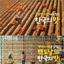 한국맥도날드부산 식품음료신문