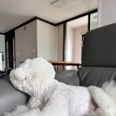 지누동물병원 이미지