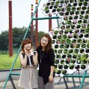 무궁화로_3 이미지