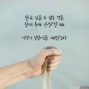 나의 낮 나의 밤 이미지