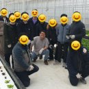 상용농장 이미지