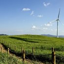 이건목장 이미지