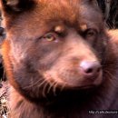 이가농원