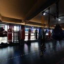 J다이어트 복싱 체육관 이미지