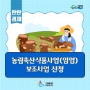 고성군청본관(4층) 이미지