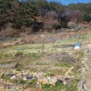 원통초 신덕분교장 이미지