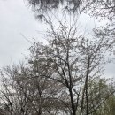 첨단산업클러스터단지4호공원 이미지