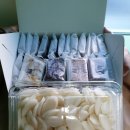 울산여자중학교 베리타스알파