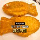 광주050 | 경기 광주 송정동 감성커피 피자붕어빵 츄러스 내돈내산