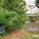 금송의원 이미지