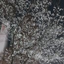 정각사입구 이미지