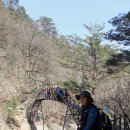 오대산서울 이미지