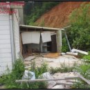 노일리(구룡밭) 이미지