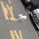현동물병원 이미지