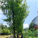 내곡동280 이미지