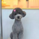 브리앙뜨몽 이미지