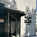 독구 | 광주 남구 월산동 애견미용 독구 솔직 후기