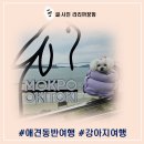 주노무인호텔 | 목포 애견동반여행 코스 중 스카이워크와 오키토키 강아지여행