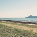 신양 은행나무길 이미지