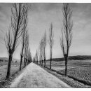 월성슈퍼 이미지