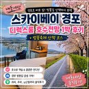 씨유 경포공원점 | 강릉 호텔 추천 스카이베이 경포 호수전망vs 바다전망 (벚꽃 시즌 강추)