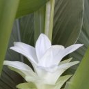 정진통상 이미지