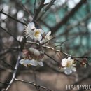 봉오리농장 이미지