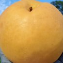 건일농장 이미지