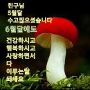 6월 인사말 이미지 / 월요일 인사말이미지 이미지