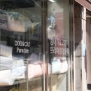 야옹아 멍멍해봐 이미지