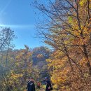 회곡1리(안골) 경로당 | 화야산 임도트레킹, 만추(晩秋) (feat. 경기둘레길가평24코스 + 화야산둘레길)