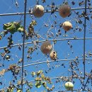 행복이농장 이미지