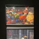 피크닉 | 박용만 사진전 《 Human Moment 》 - 피크닉 사진전 후기