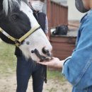 ㈜착한세상 이미지