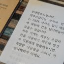 표선갈치조림