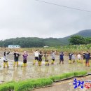 상월 농장 이미지