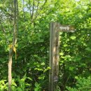 다송초등학교 이미지