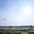 당거리화장실 | 평택자전거길 [평택강]