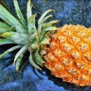 파인애플 이미지