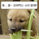 선훈