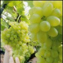 양평-강상-강상-02 이미지